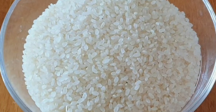 유튜브 '묘식당 Rabbit's'