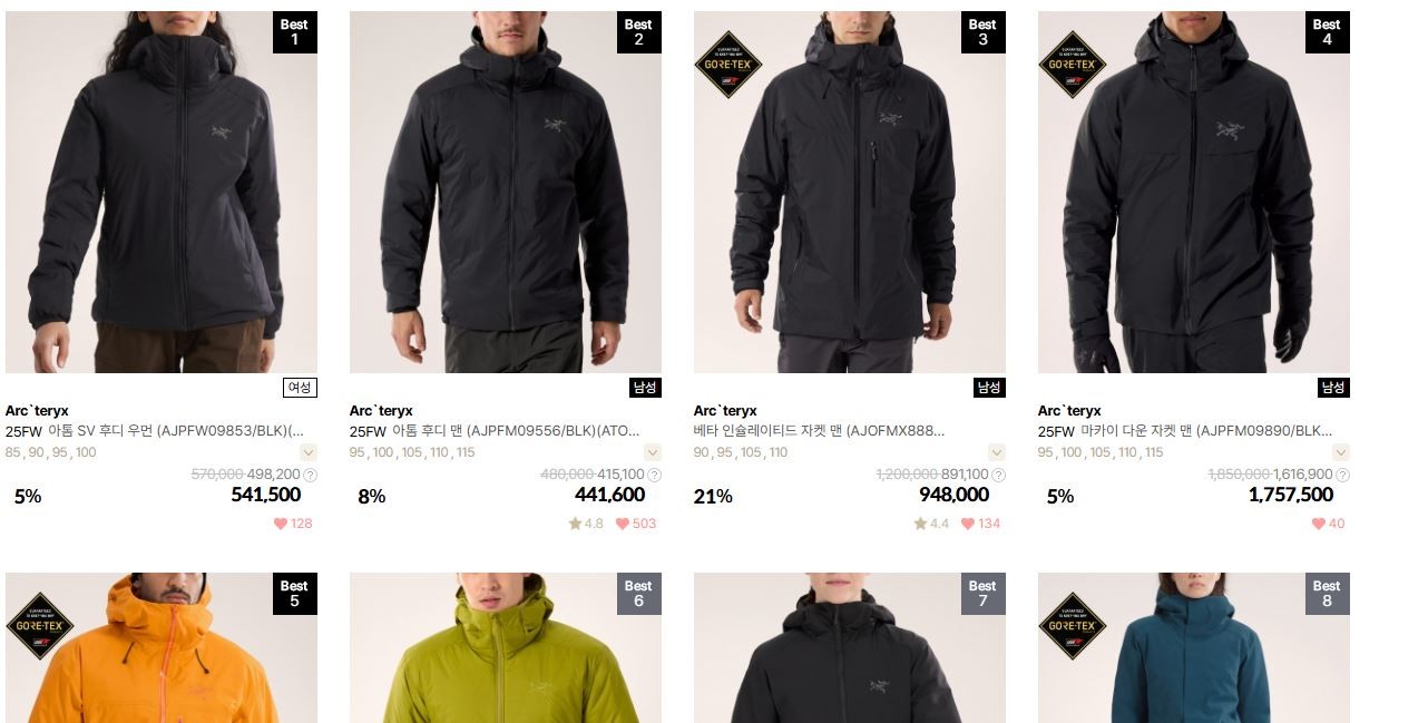 아크테릭스 패딩 / 오케이몰