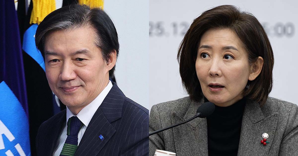 조국(왼쪽) 조국혁신당 대표와 나경원 국민의힘 의원. / 뉴스1