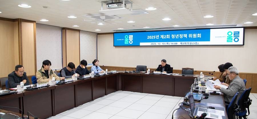 ‘제1차 울릉군 청년정책 기본계획’ 심의 회의 모습/울릉군