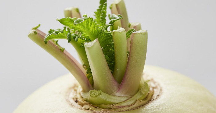 기사의 이해를 돕기 위한 AI 생성 이미지