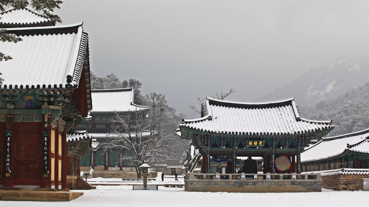 법주사 경내가 새하얀 눈으로 뒤덮였다.  / 연합뉴스