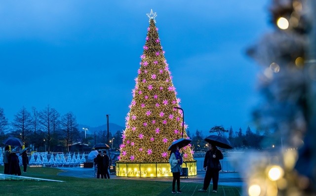 순천만국가정원 호수정원 대형트리