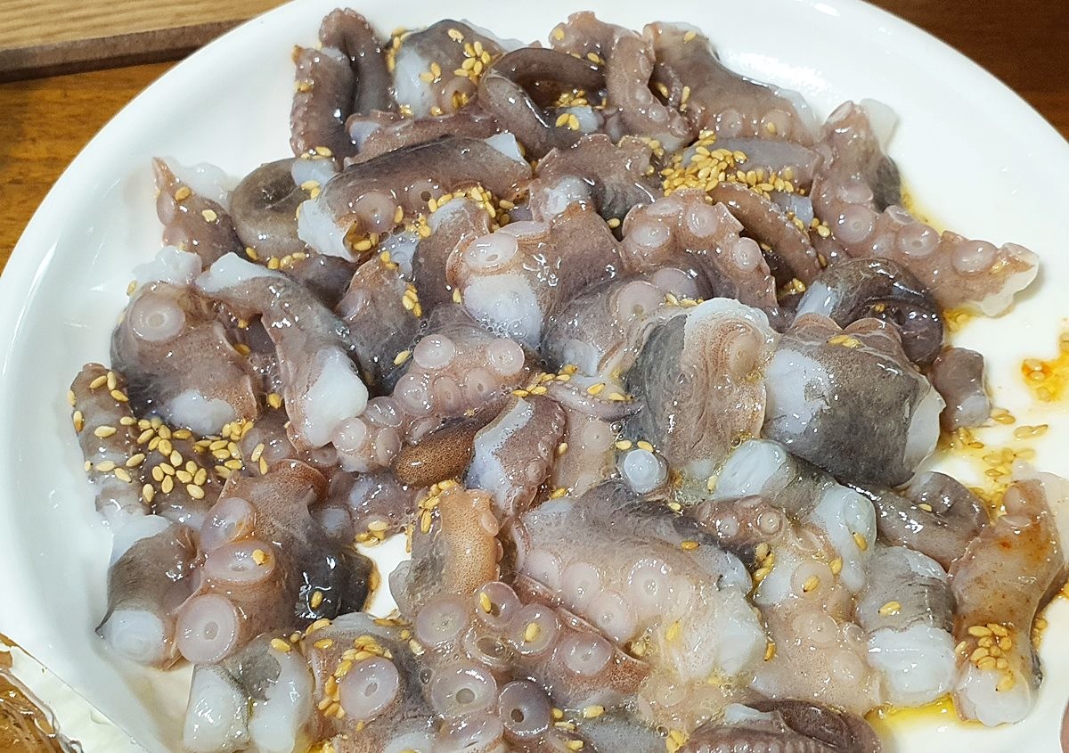 한국인들이 좋아하는 별미 산낙지 모습. 기사 이해를 돕기 위해 AI를 활용해 제작한 자료 사진입니다. / 연합뉴스