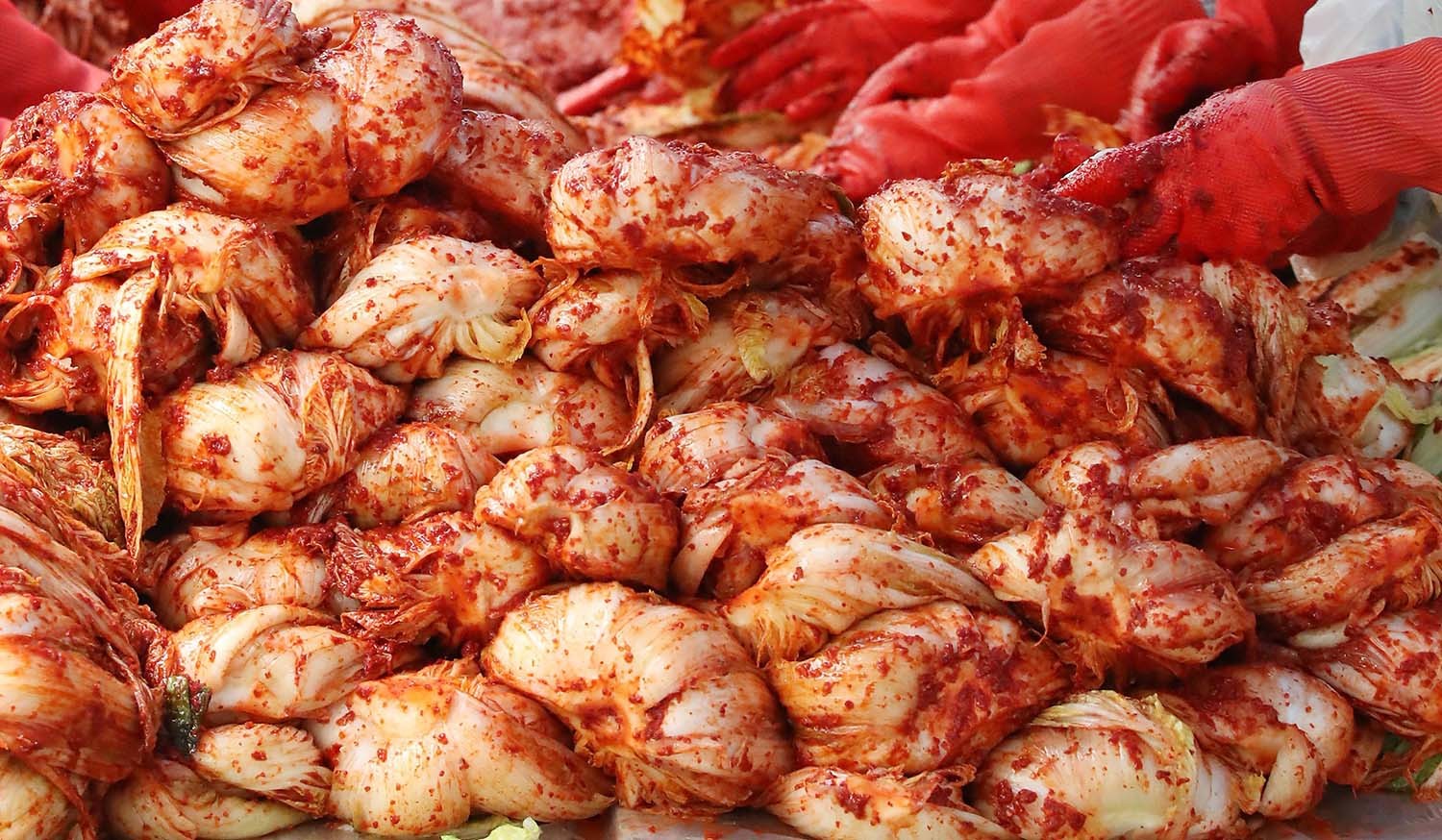 김장김치 / 뉴스1