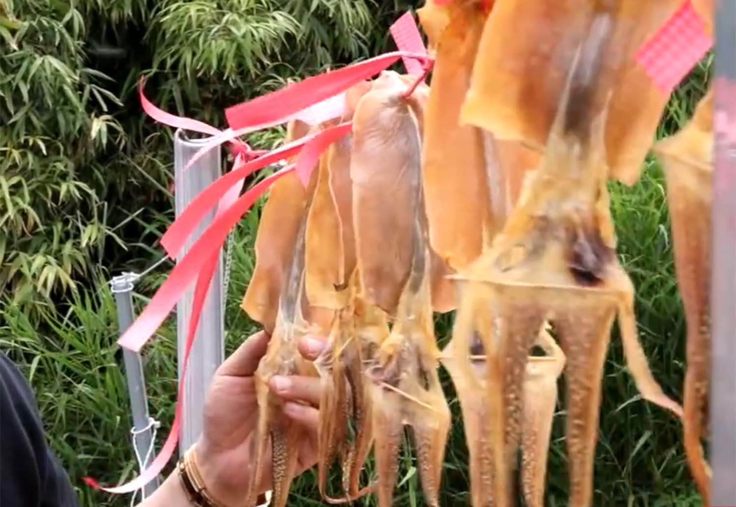 집에서 건조 중인 오징어. / '수부해TV' 유튜브 채널