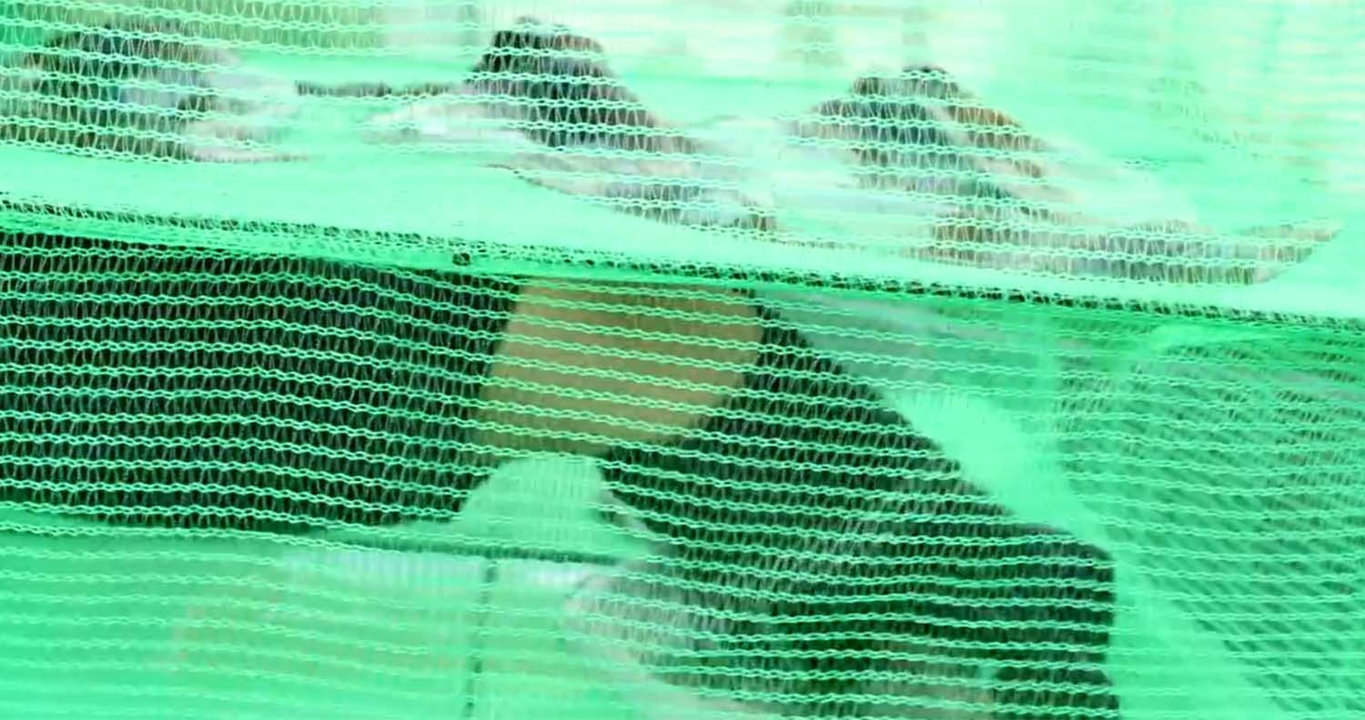 집에서 건조망으로 건조 중인 오징어. / '수부해TV' 유튜브 채널