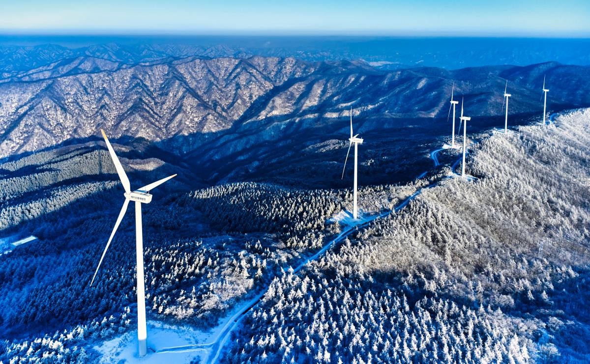 Stock for you-shutterstock.com