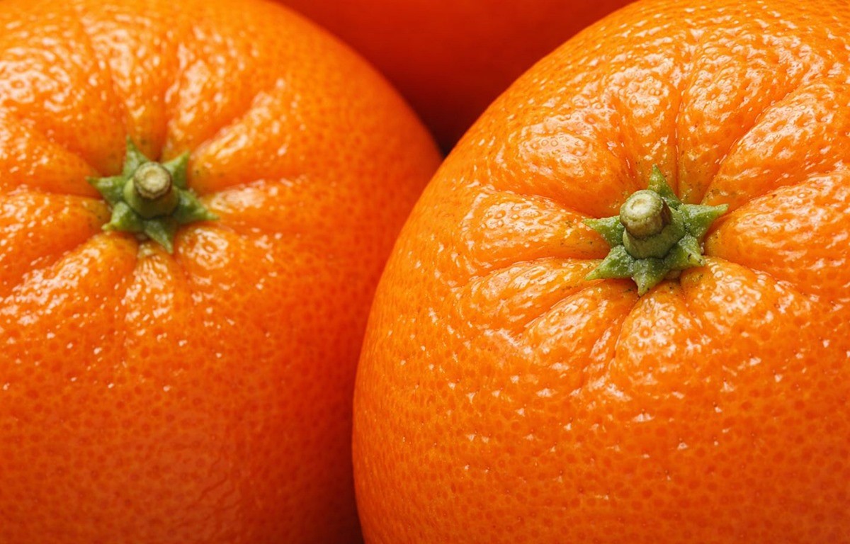 귤 모습. 기사 이해를 돕기 위해 AI를 활용해 제작한 자료 사진입니다.