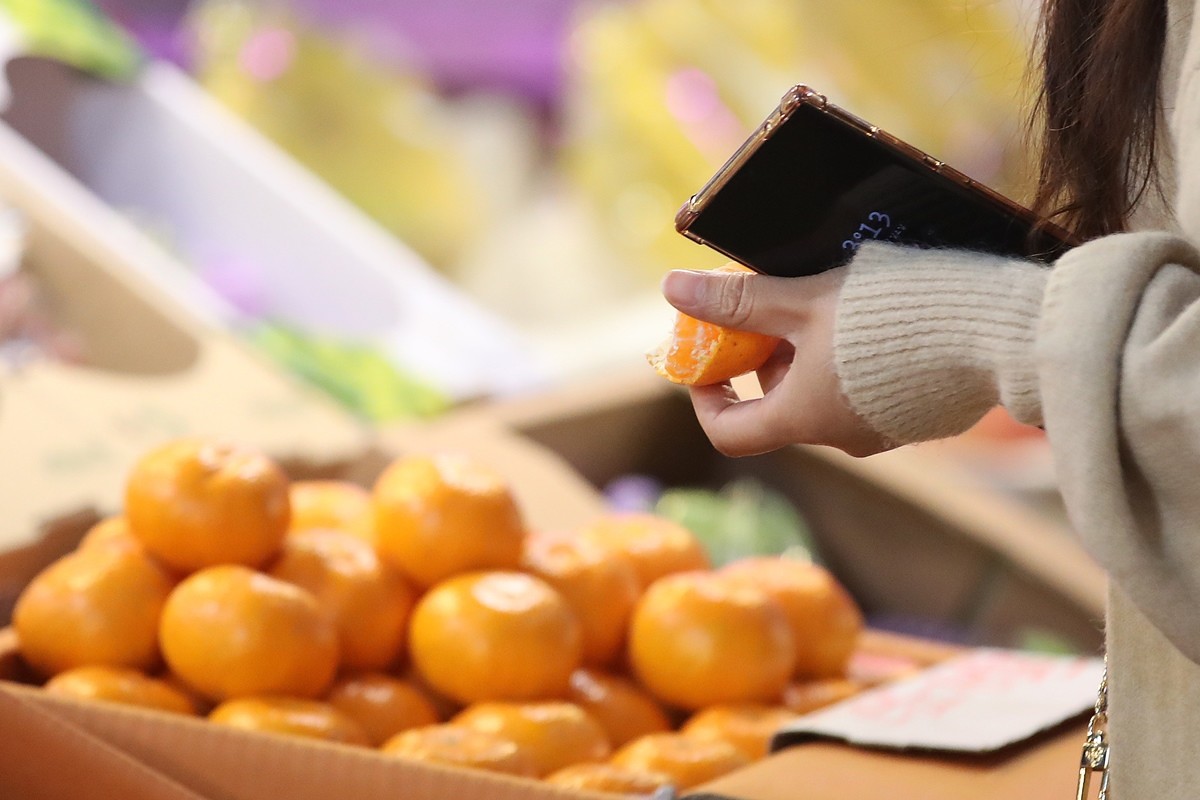 귤 모습. 기사 이해를 돕기 위한 자료 사진입니다. / 뉴스1