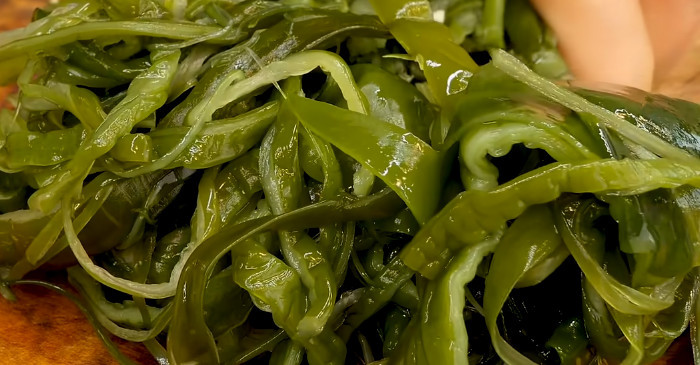 유튜브 '영자씨의 부엌Young-Ja's Kitchen'