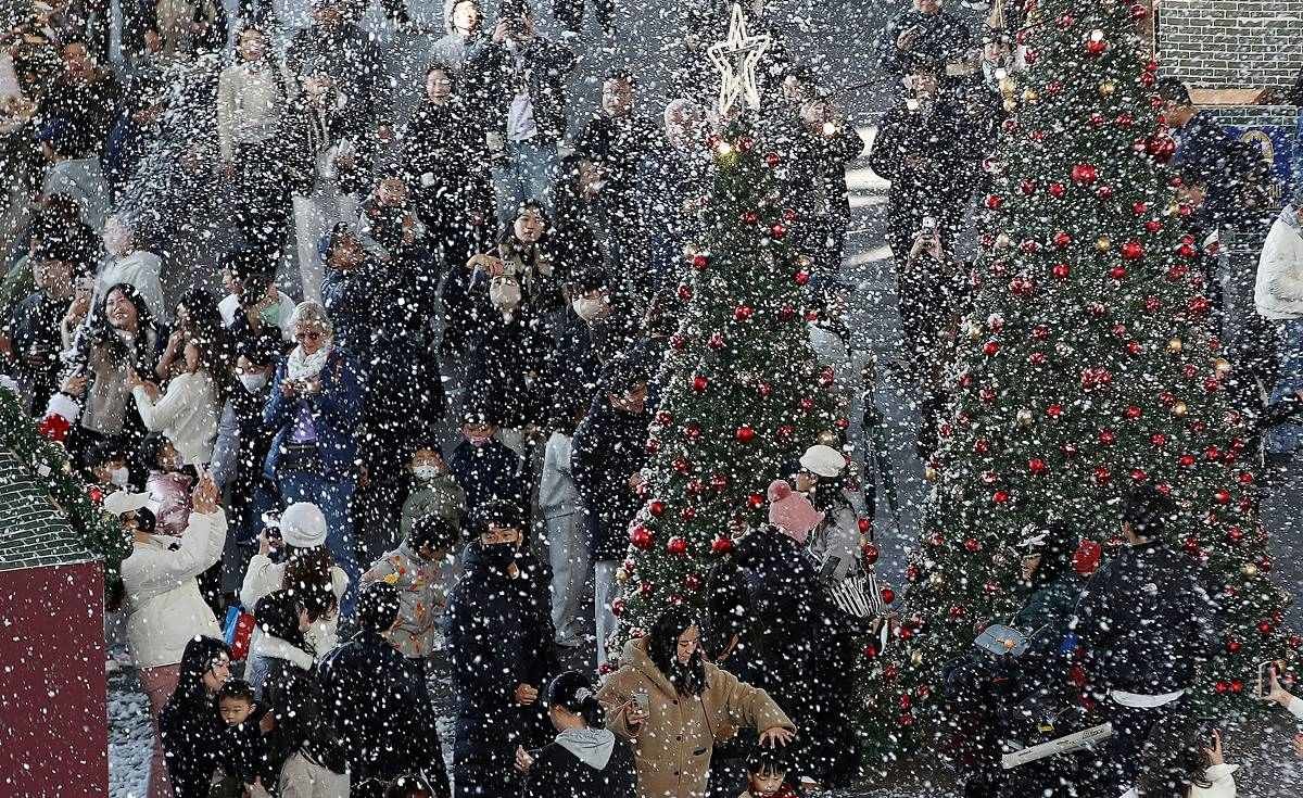 크리스마스 트리를 배경으로 사진을 찍는 시민들 / 뉴스1