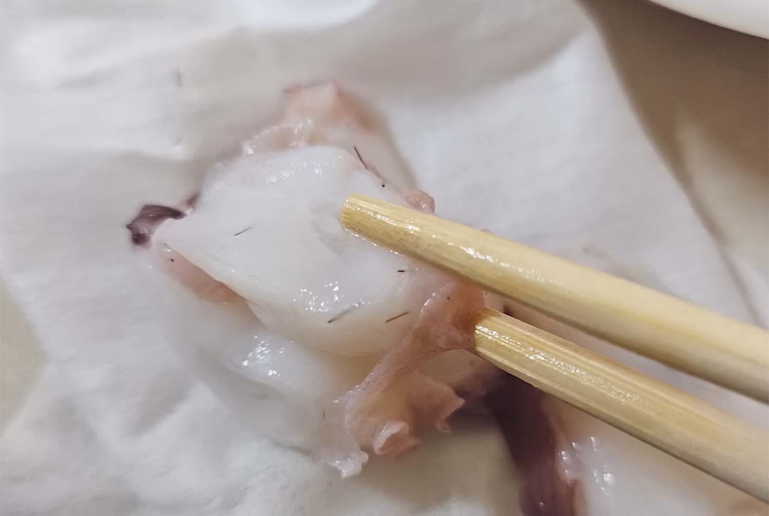 문어 살에 박혀 있는 비늘벌레 털. / '입질의추억TV' 유튜브 채널