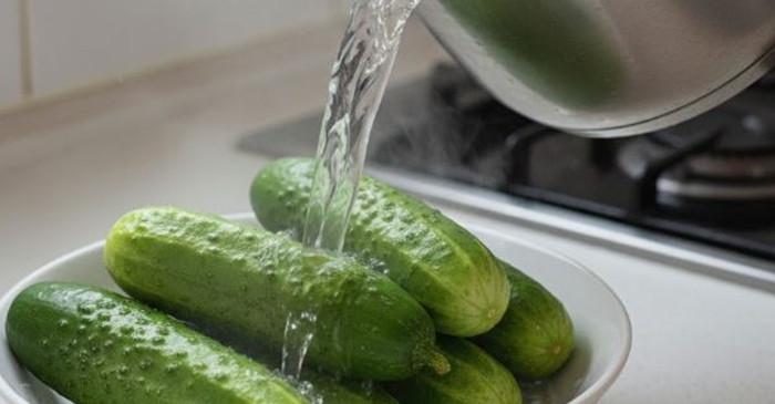 기사의 이해를 돕기 위한 AI 생성 이미지