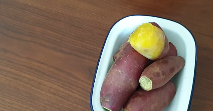 밤고구마 / 유튜브 '램블부부 Ramble Couple'