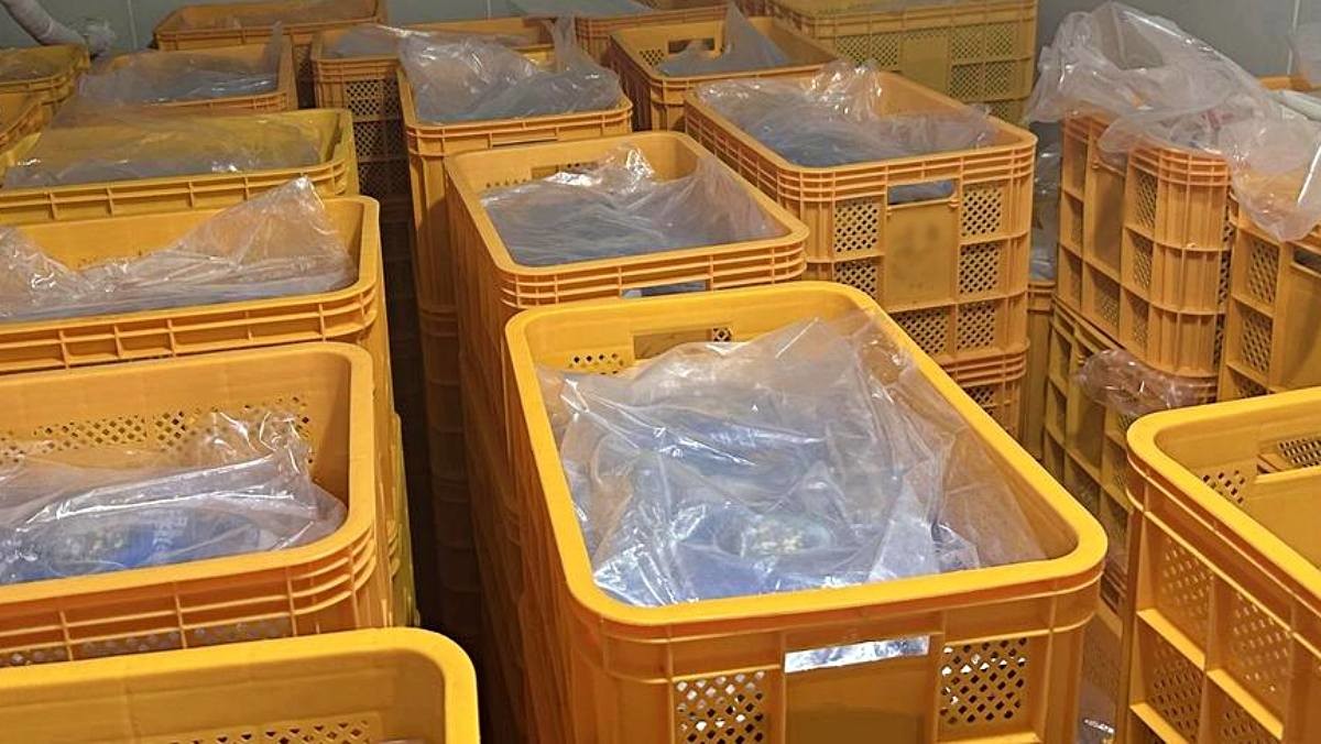 국내산 둔갑한 중국산 재첩. / 여수해경 제공