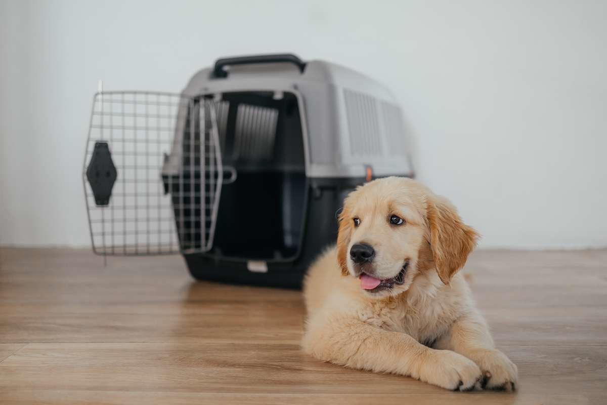 내용 이해를 돕기 위한 사진. / Melali-shutterstock.com