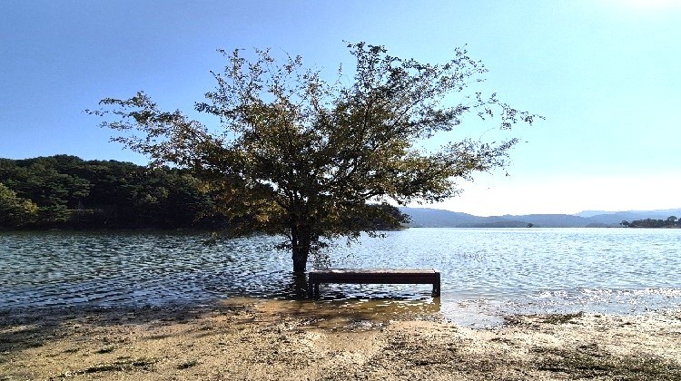 대청호 오백리길 4구간 호반낭만길 중 / 김지연 기자