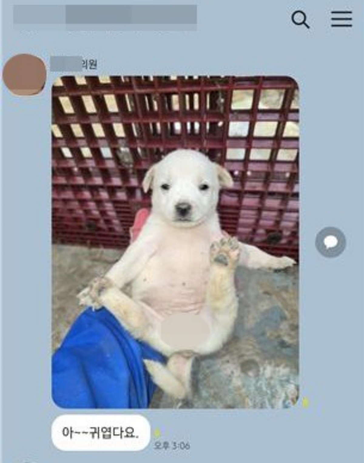 나주시의원 단톡방에 게시된 논란 사진. / 연합뉴스-독자 제공