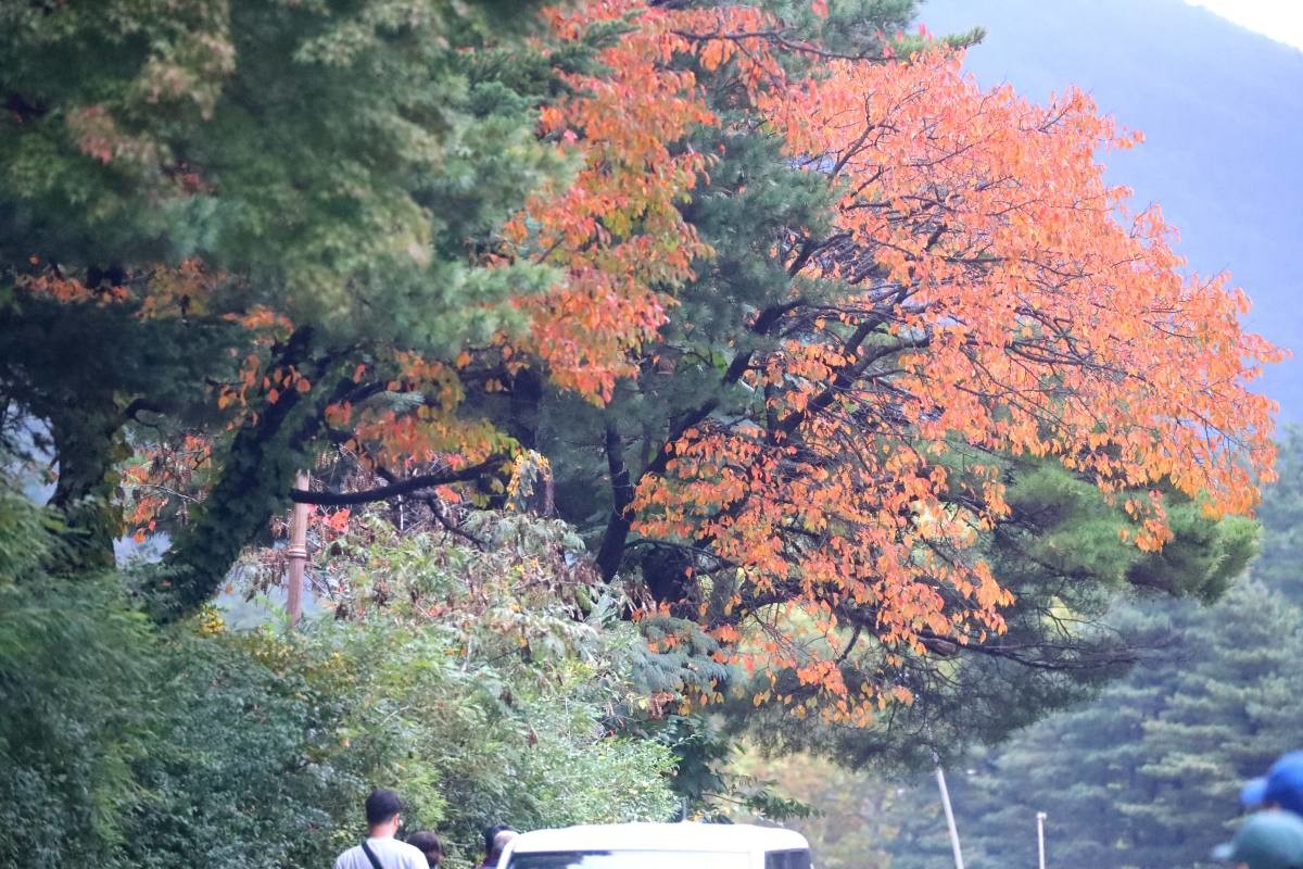 강원 속초시 설악동에 있는 설악산국립공원 등산로 초입 / 연합뉴스