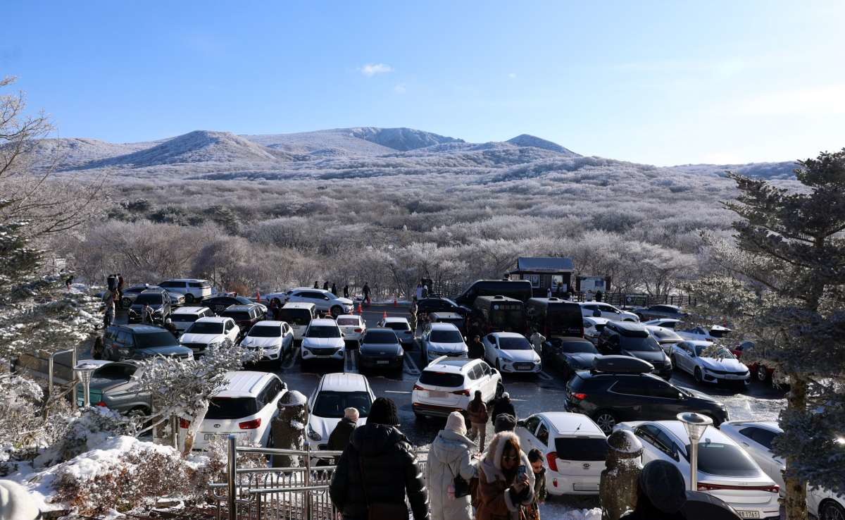 한라산 1100고지. / 연합뉴스