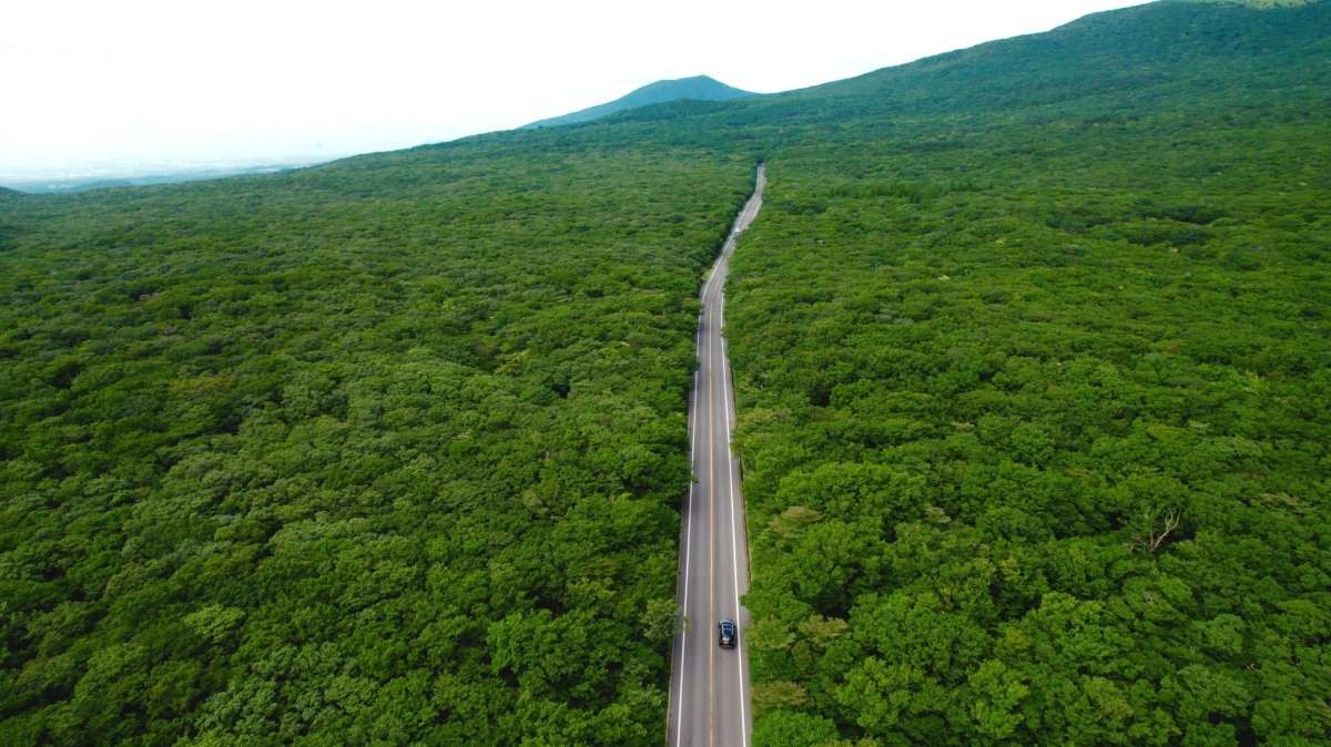 한라산 1100고지 도로. / Healing Films-shutterstock.com