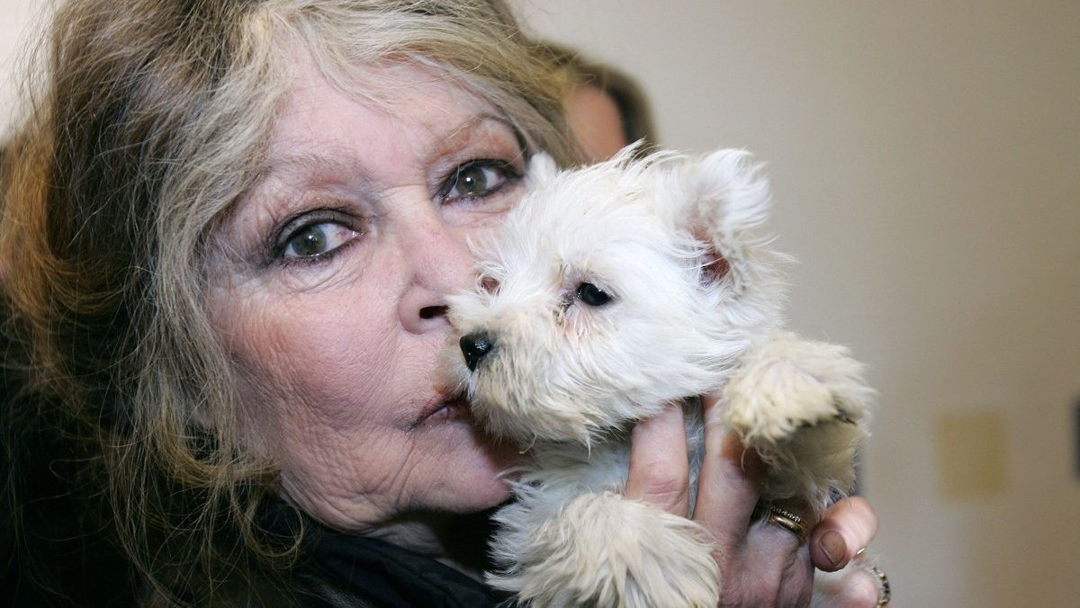 브리지트 바르도(2005년) / 연합뉴스