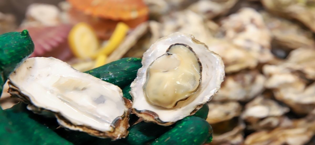 굴 자료사진 / Light Win-shutterstock.com