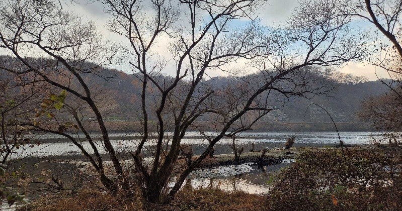 29일 대전·세종·충남 지역은 대체로 흐린 가운데, 충남 서해안 일부 지역에 비가 내릴 전망이다. 사진은 대청호 오백리길 21구간 해피로드  / 김지연 기자