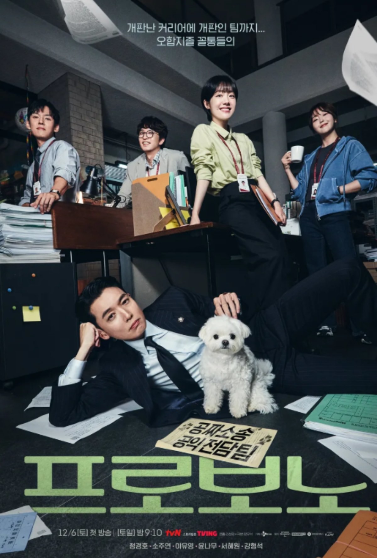 '프로보노' 포스터 / tvN