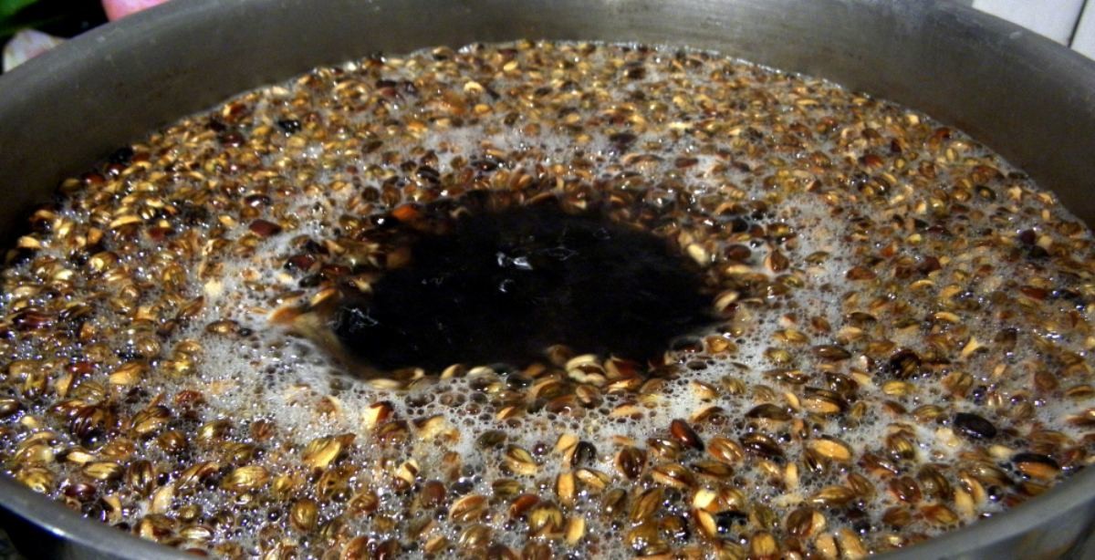 보리차 자료사진 / Andy.LIU-shutterstock.com