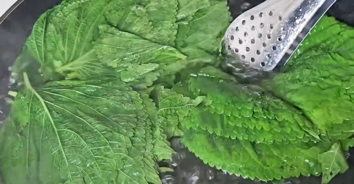 유튜브 '풀씨의요리노트(pulssi's cook)'