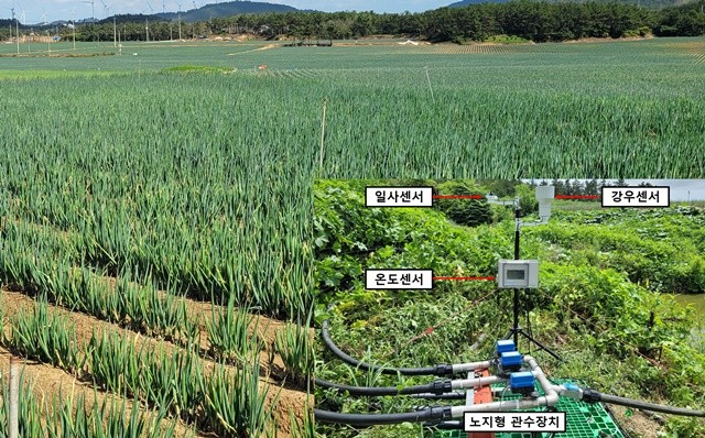 노지채소 스마트 물관리 장치