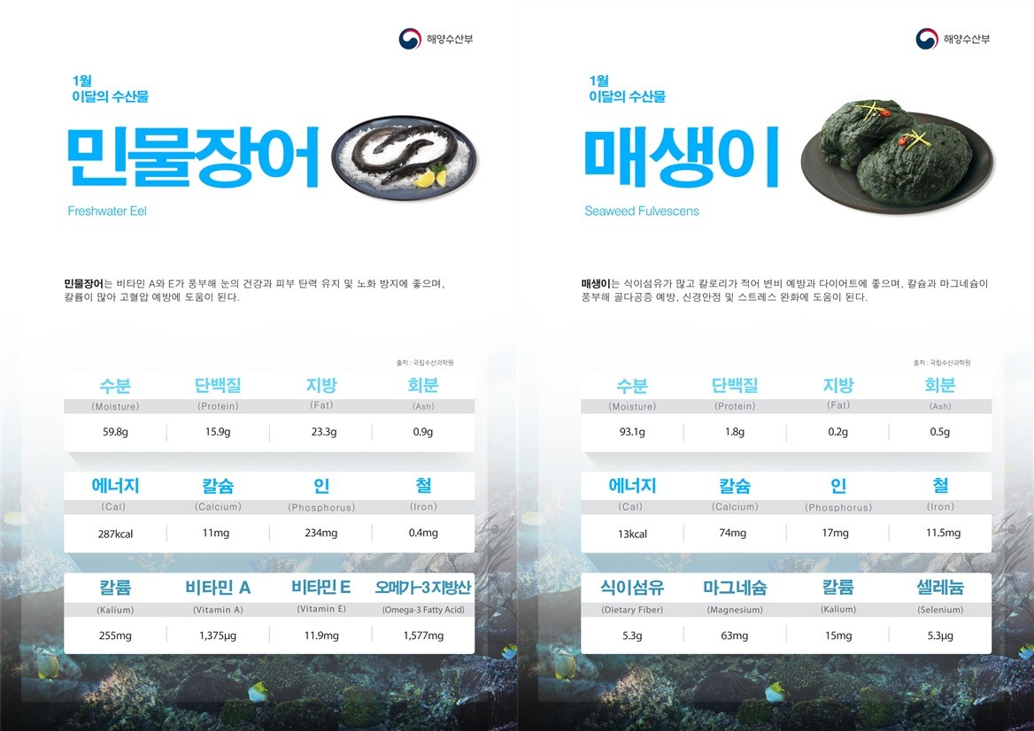 '이달의 수산물'로 선정된 민물장어(왼)와 매생이(오)의 성분 분석 정보. / 해양수산부 제공