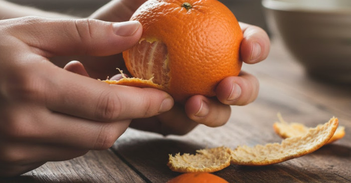 기사의 이해를 돕기 위한 AI 생성 이미지