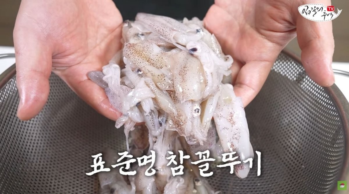 참꼴뚜기. / 유튜브 '입질의추억TV jiminTV'