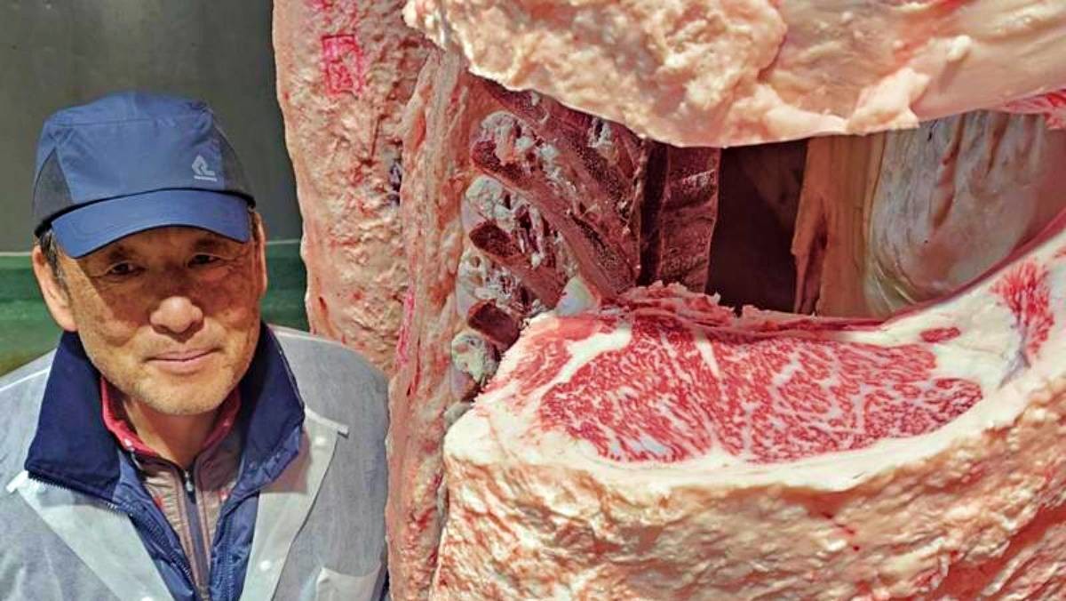 '제주도에서 일냈다…전 국민이 사랑하는 이 고기, 역대급 크기로 출하' / 제주축산농협 제공