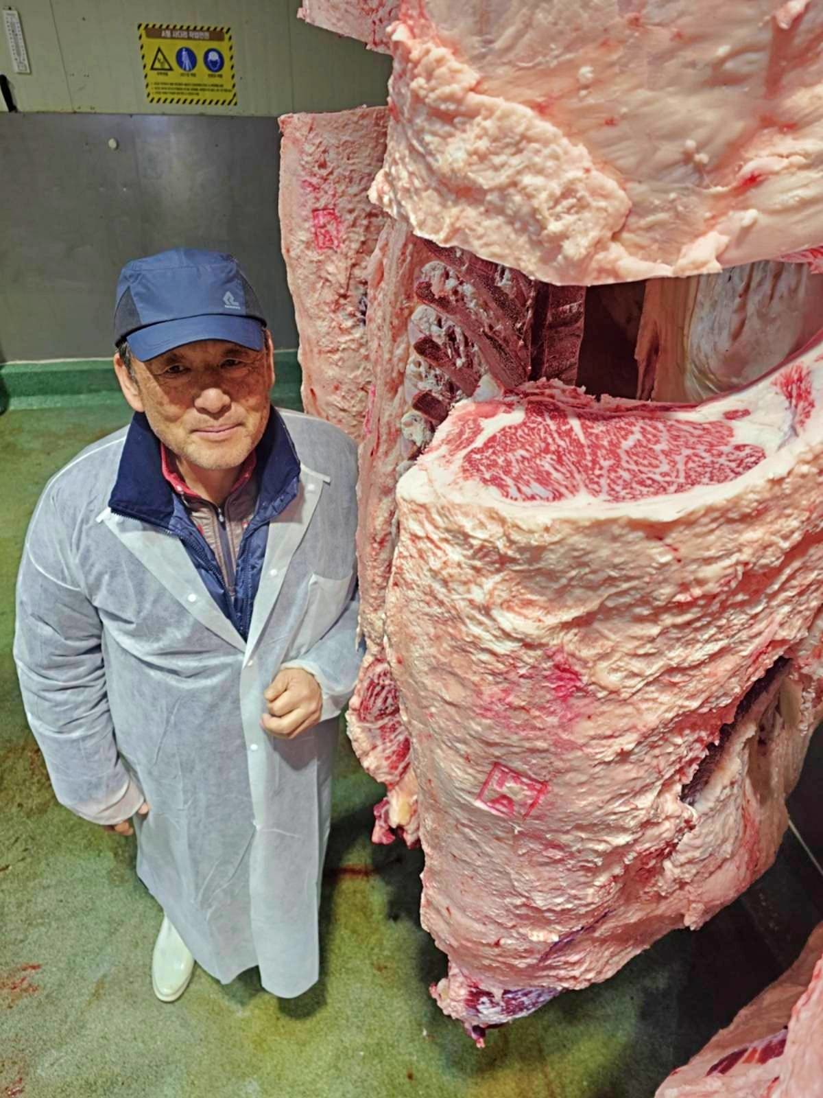 제주 역대 최고 등심 단면적 기록한 한우 거세우. / 제주축산농협 제공