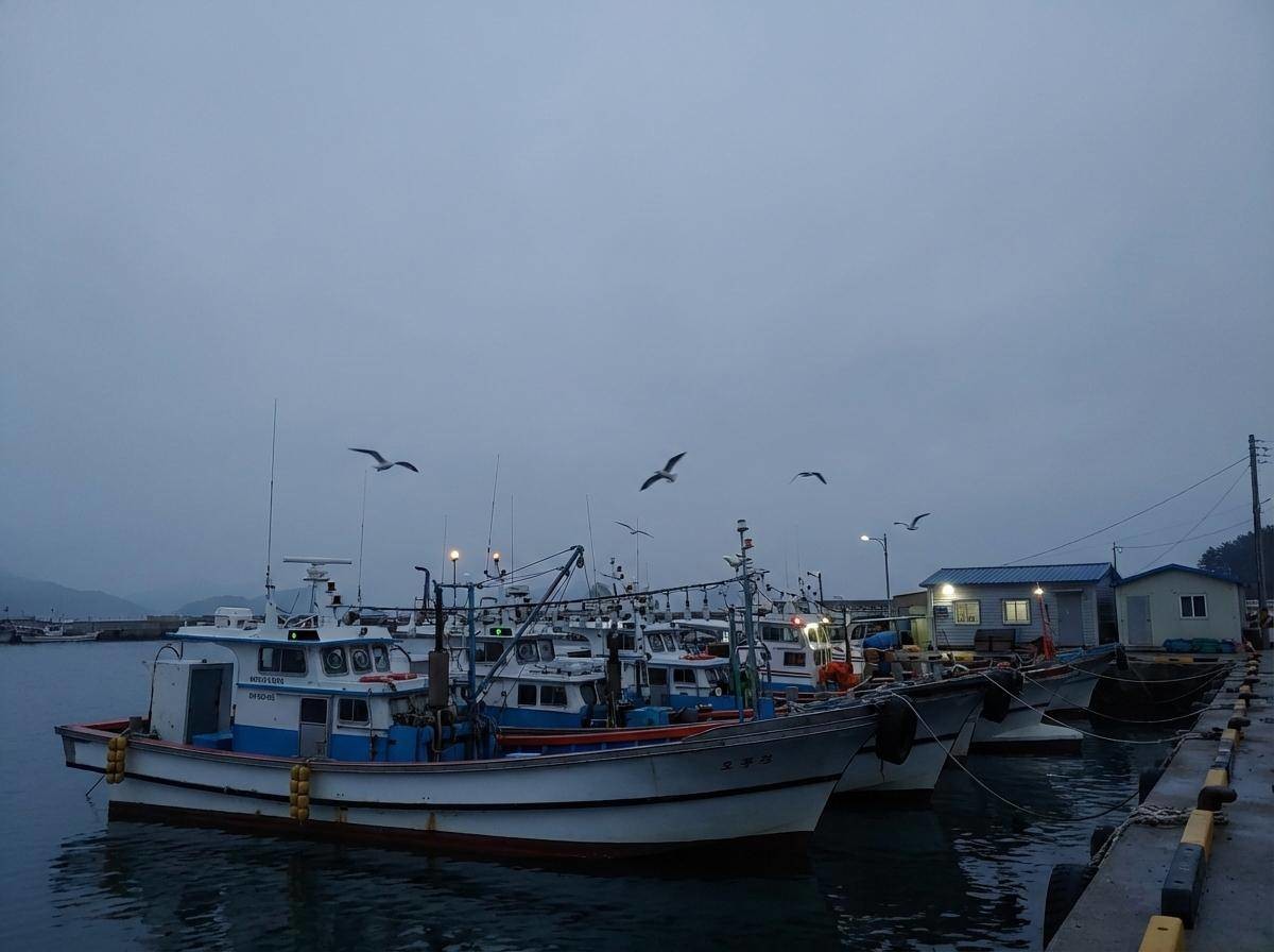 어촌 풍경. 기사 내용을 바탕으로 제작한 자료사진.