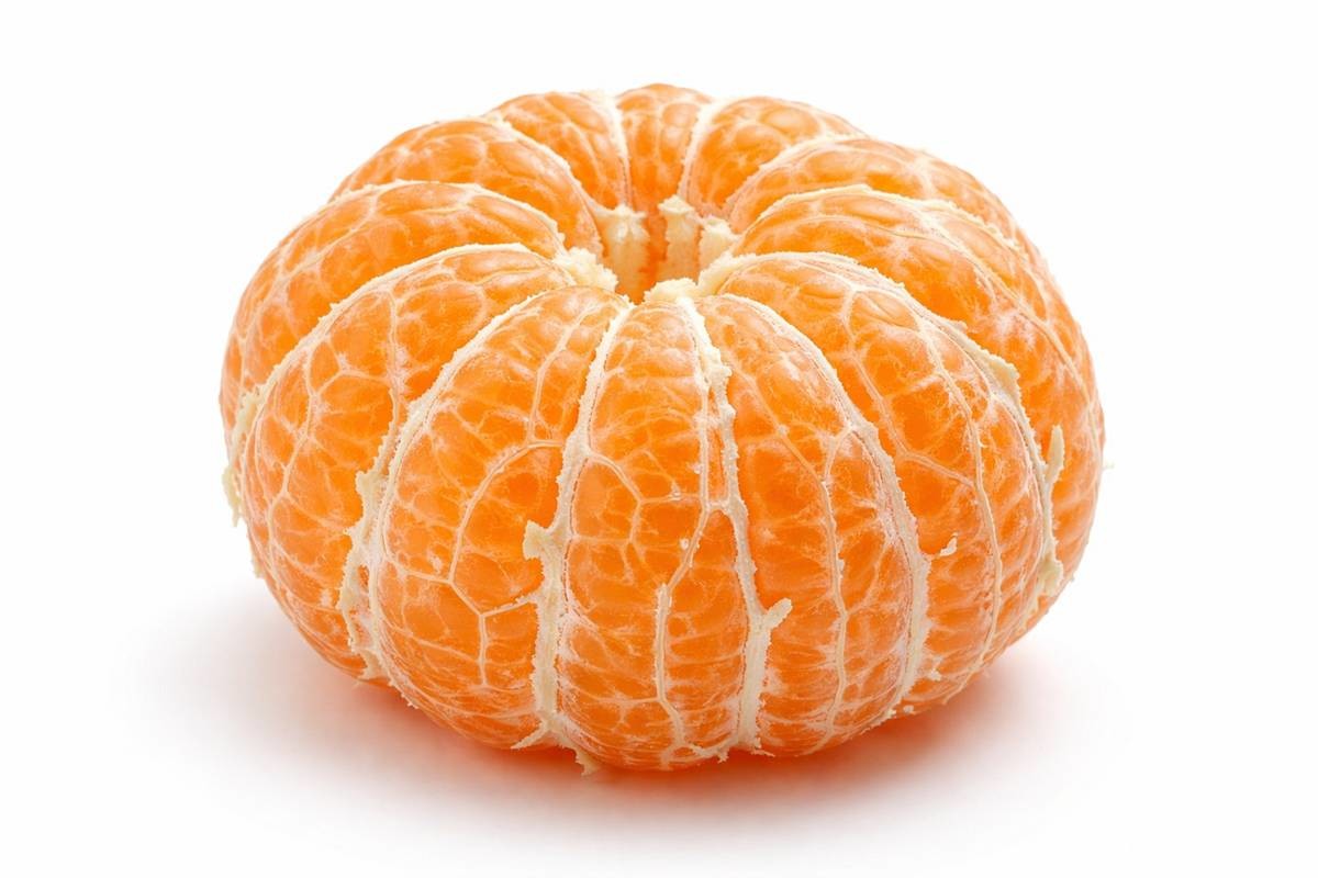 기사에 대한 이해를 돕기 위해 AI 툴로 제작한 자료 사진