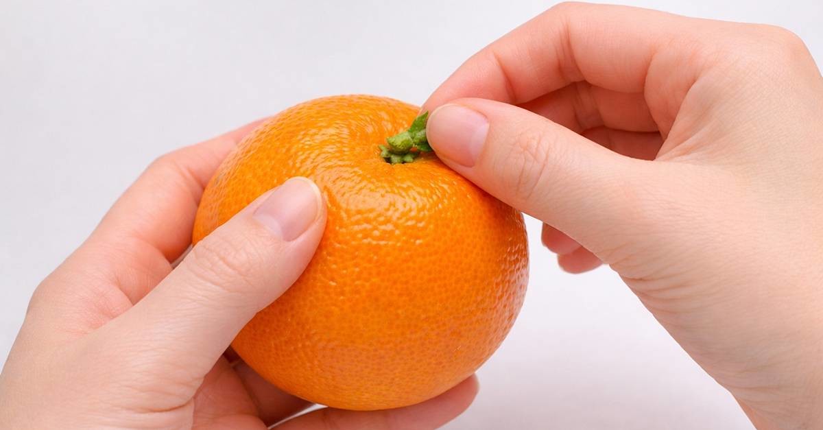 귤 꼭지를 떼어내면? / 기사에 대한 이해를 돕기 위해 AI 툴로 제작한 자료 사진