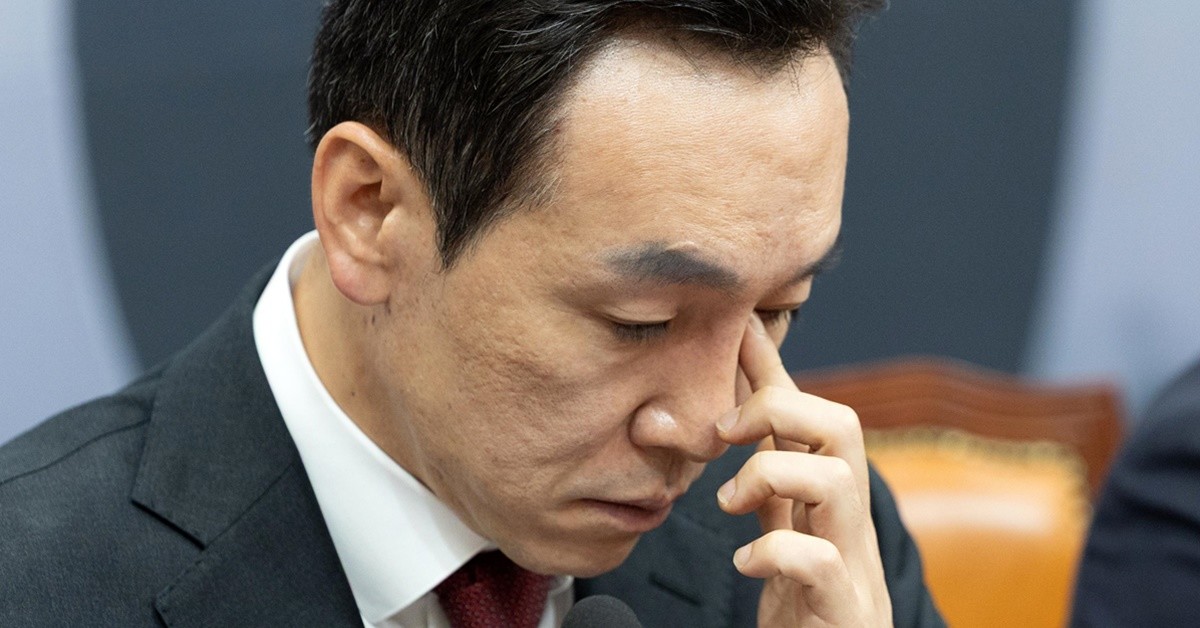 김민수 국민의힘 최고위원 / 뉴스1