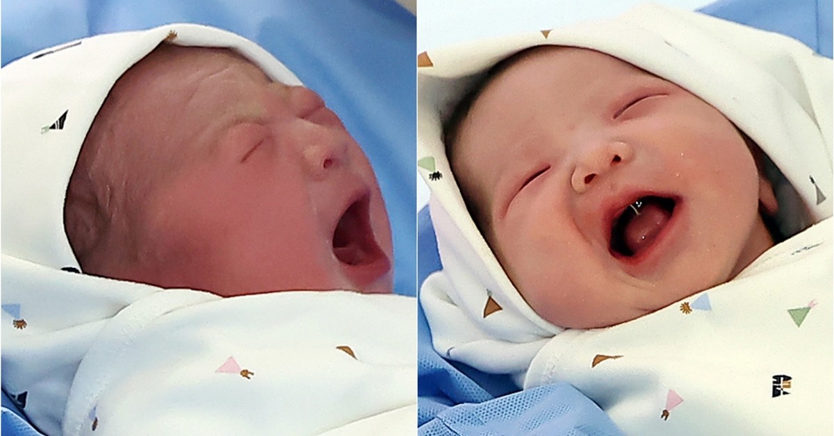 쨈이와 도리는 2026년 대한민국의 첫둥이가 됐다. / 뉴스1