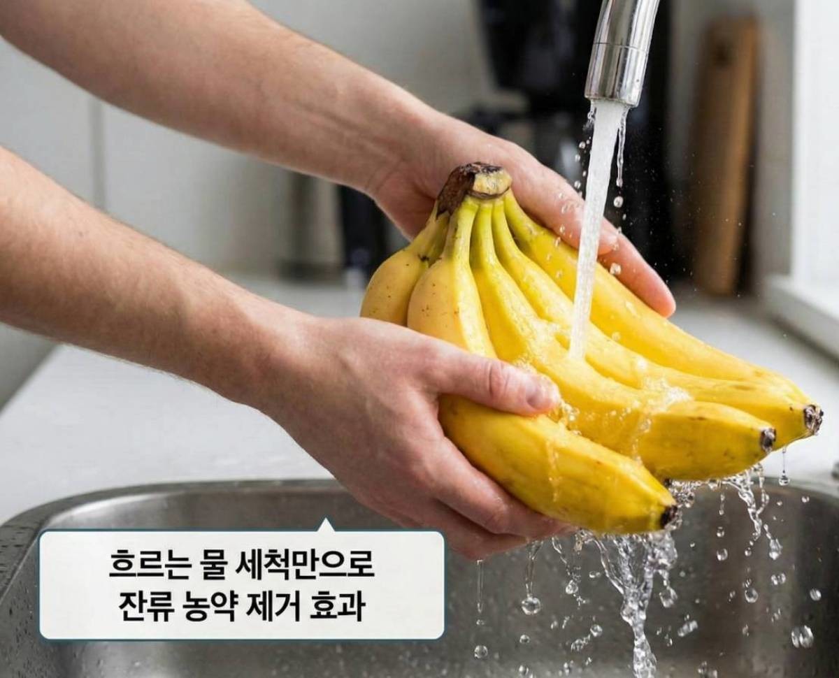 '물에 바나나를 물에 먼저 씻으면?' 기사 내용을 바탕으로 제작한 자료사진.