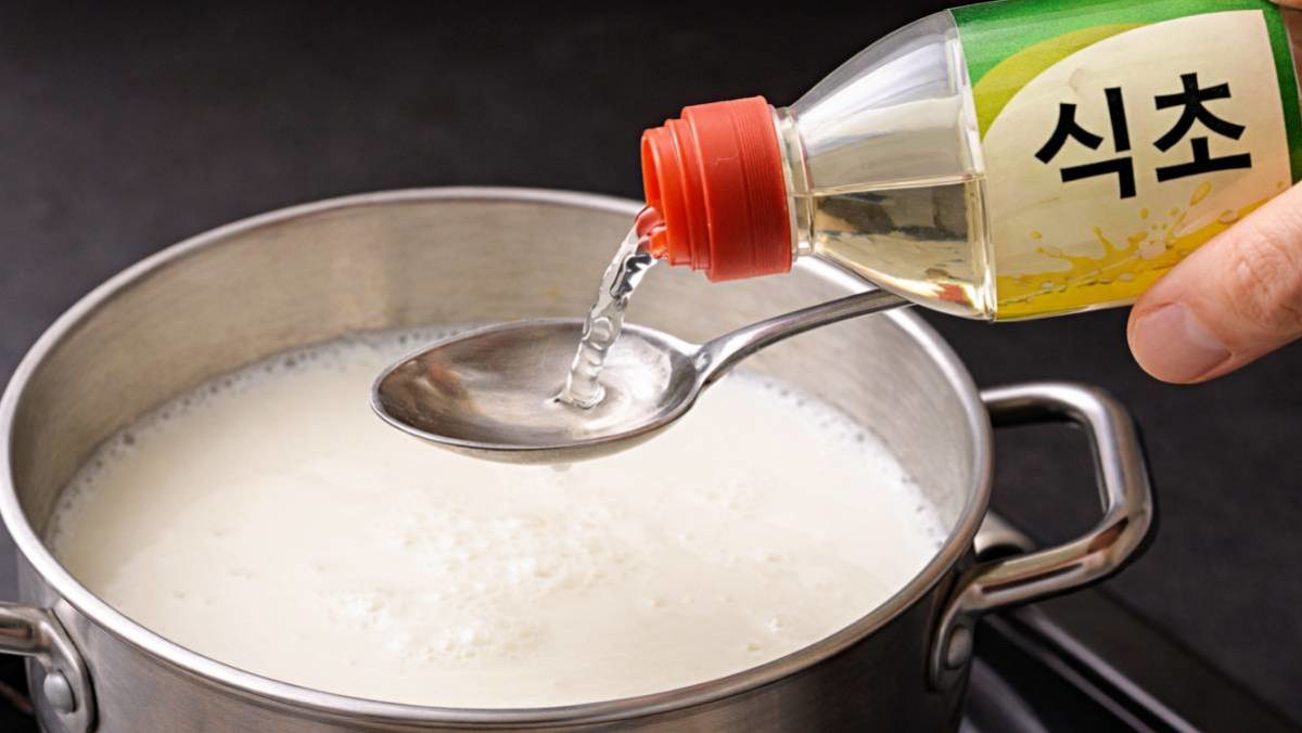 '우유에 식초를 몇 스푼 넣으면 벌어지는 일은?' 기사 내용을 바탕으로 제작한 자료사진.