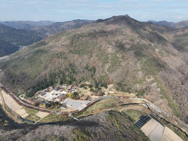 산림 분야 국비 확보-산림복원(보림사 비자림)