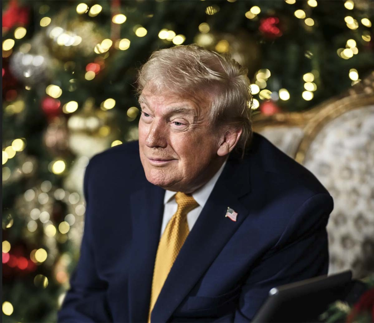 도널드 트럼프 미국 대통령 / 백악관 홈페이지