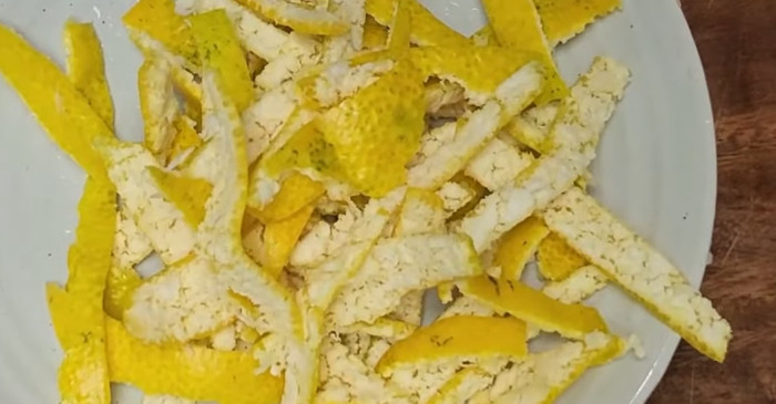 유튜브 '효초TV'