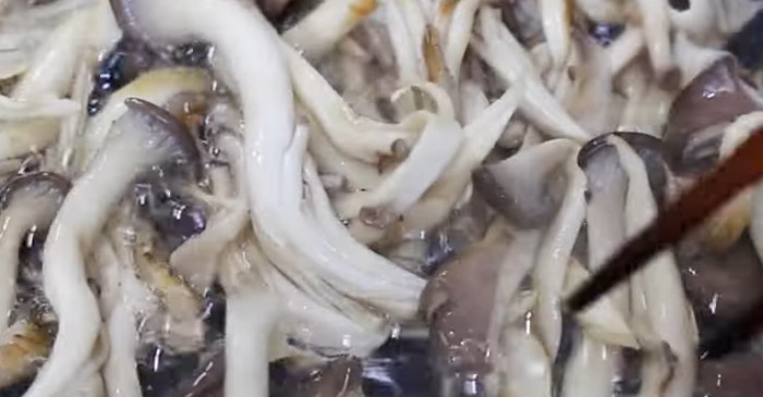 유튜브 '집밥 korean home cooking'