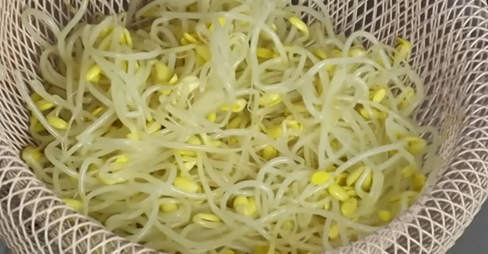 유튜브 '요리왕비룡 Korean Food Cooking'